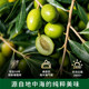 【抢现货！k姐双11】 碧欧奇100%特级初榨橄榄热炒凉拌食用油