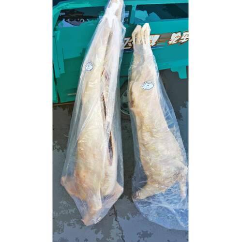 羊肉袋羊猪肉白条袋塑料袋平口袋防尘袋高压袋包装食品全新料透明 - 图1