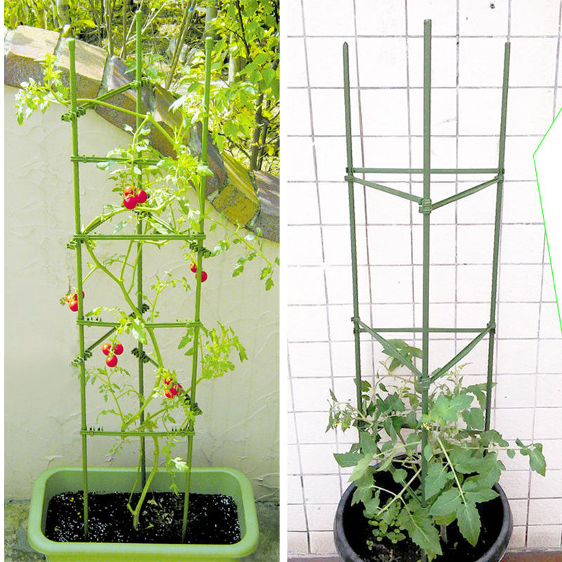 西红柿架番茄阳台种植支架黄瓜豆角爬藤架月季花植物固定架园艺 - 图2