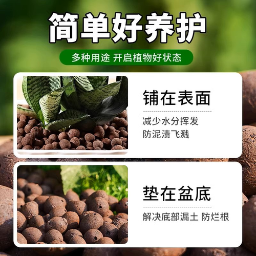 陶粒垫底养花专用营养土多肉盆栽铺面石水培粒透气陶土种花底部 - 图3