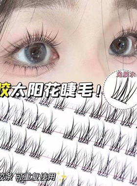 自然仿真分段假睫毛|千人加购