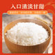 Seasonal New Northeast Farm Wuchang Rice 5kg Wuchang Rice 10Jin Jin is equal to 0.5kg GB/T19266 high-quality first-class new rice