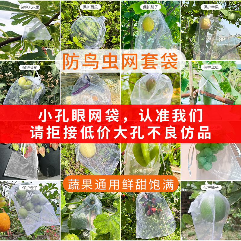 水果套袋防鸟防虫专用网袋葡萄无花果瓜果枇杷草莓杨桃子保护袋子 - 图0