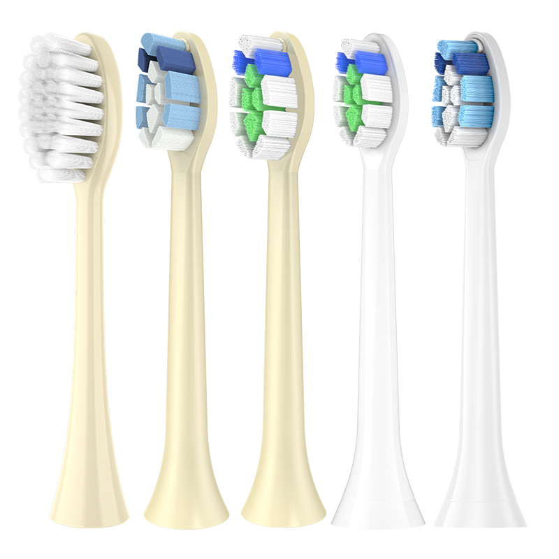 适配careup电动牙刷头替换头通用顾上cb02型号成人刷头皓齿成年 - 图1