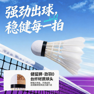 羽毛球拍颜色随机两支+球3个+拍包
