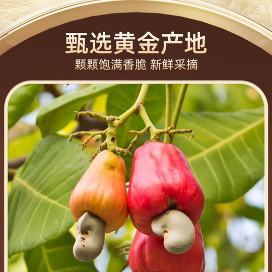 Mountain Flavor Salt Baked Cashew Nuts with Skin Purple Skin Cashew Nuts