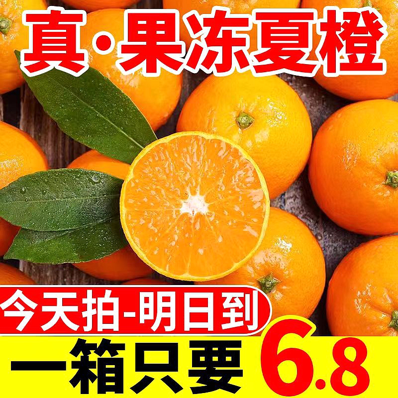 超级低价现在夏橙湖北秭归冰糖橙新鲜应季水果薄皮小橙子脐橙大果 - 图0