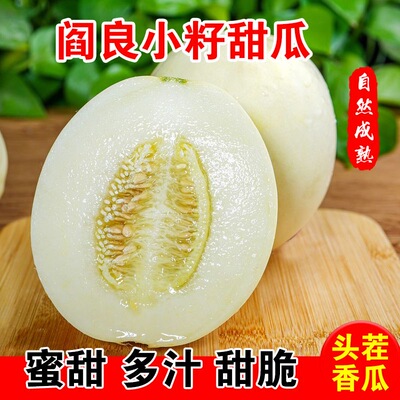 陕西阎良甜瓜新鲜香瓜应季当季现摘时令水果头茬蜜蜜瓜脆小籽白瓜