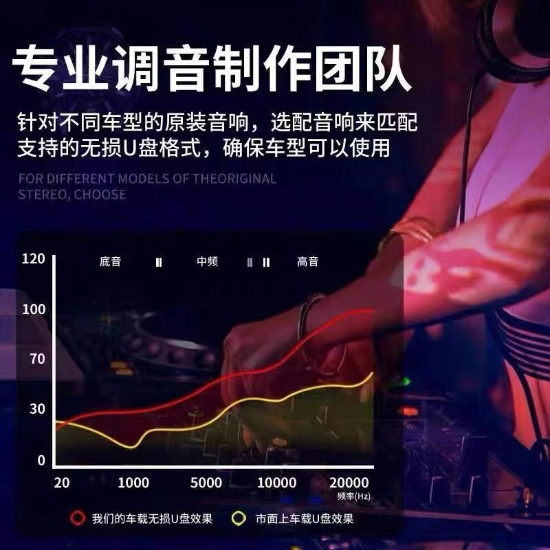 汽车载u盘歌曲无损高音质经典老歌一人一首成名曲音乐dj优盘抖音 - 图1