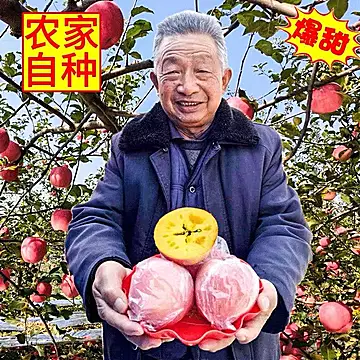 【超低价】现摘山西红富士苹果5斤[1元优惠券]-寻折猪