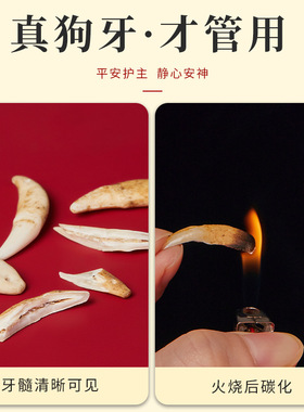 狗牙齿红绳婴儿宝宝防惊吓平安朱砂手链儿童新生儿狗牙编织本命年