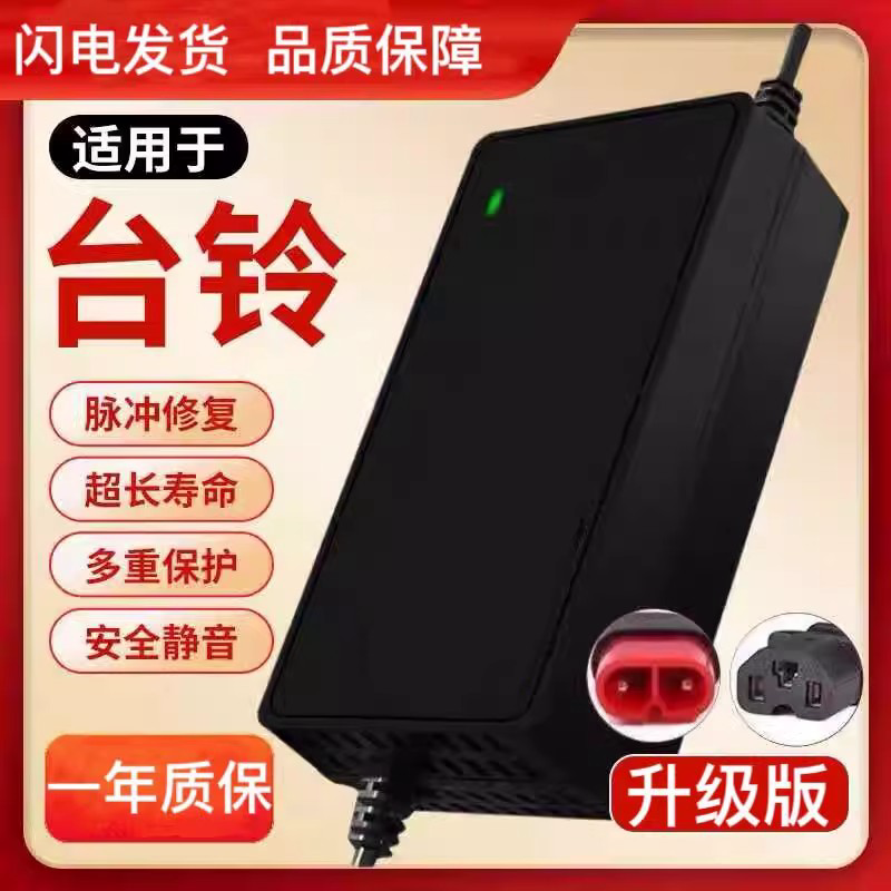电动车电瓶充电器48V12AH20AH60V20AH72V国标T字头多品牌车型使用 - 图0