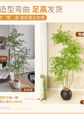 南天竹仿真绿植摆件|千人加购