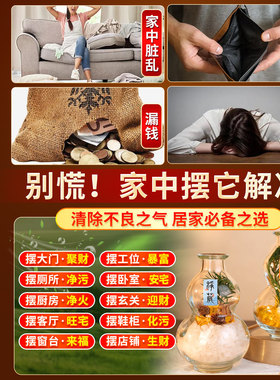 天然肉桂粗盐净宅生财摆件招财进宝海盐水晶葫芦瓶旺搬家乔迁桌面
