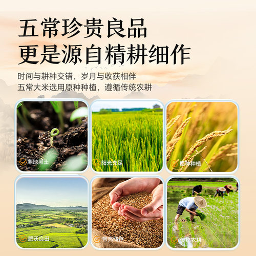 正宗五常新大米5kg东北大米黑龙江大米10斤当季新米真空装锁鲜5kg - 图1