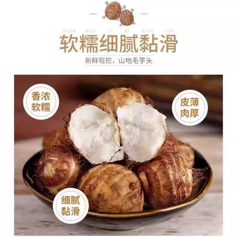 2026新鲜山东牛奶芋头香芋糯芋蔬菜应季蔬果香糯毛芋正宗代餐芋艿 2026新鲜山东牛奶芋头香芋糯芋蔬菜应季蔬果香糯毛芋正宗代餐芋艿