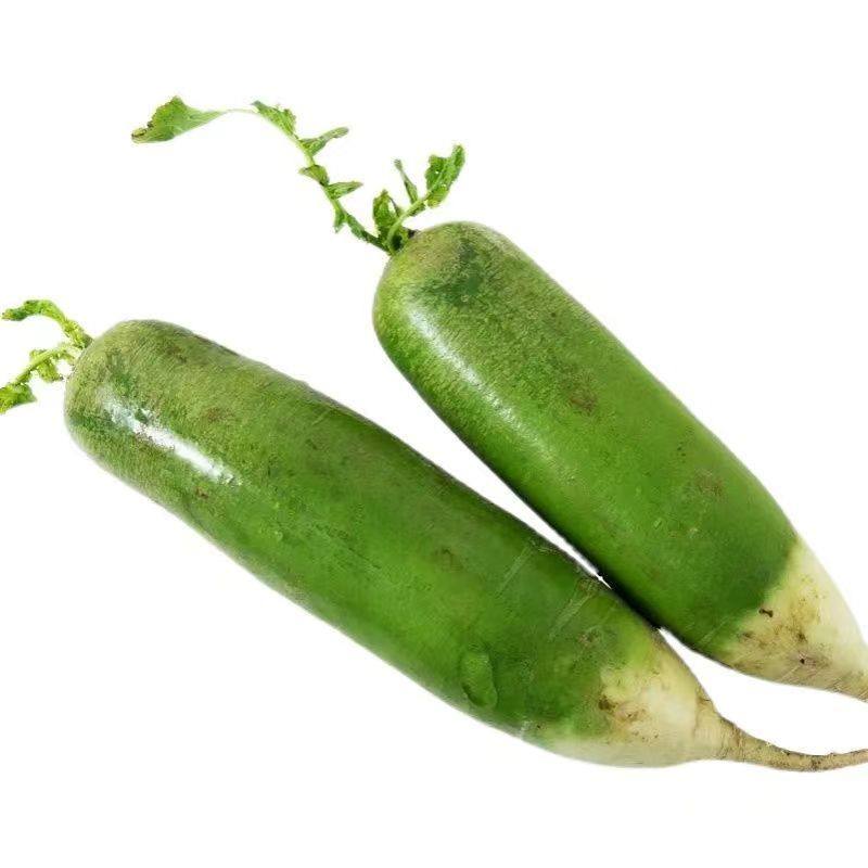 正宗山东潍县特产青萝卜潍坊萝卜甜脆水果型新鲜蔬菜生吃沙地,淘宝优惠券,粉丝福利购,淘宝优惠卷