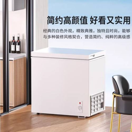 先科一级能效小冰柜家用小型全冷冻箱冷藏两用迷你商用冷柜卧式 - 图0
