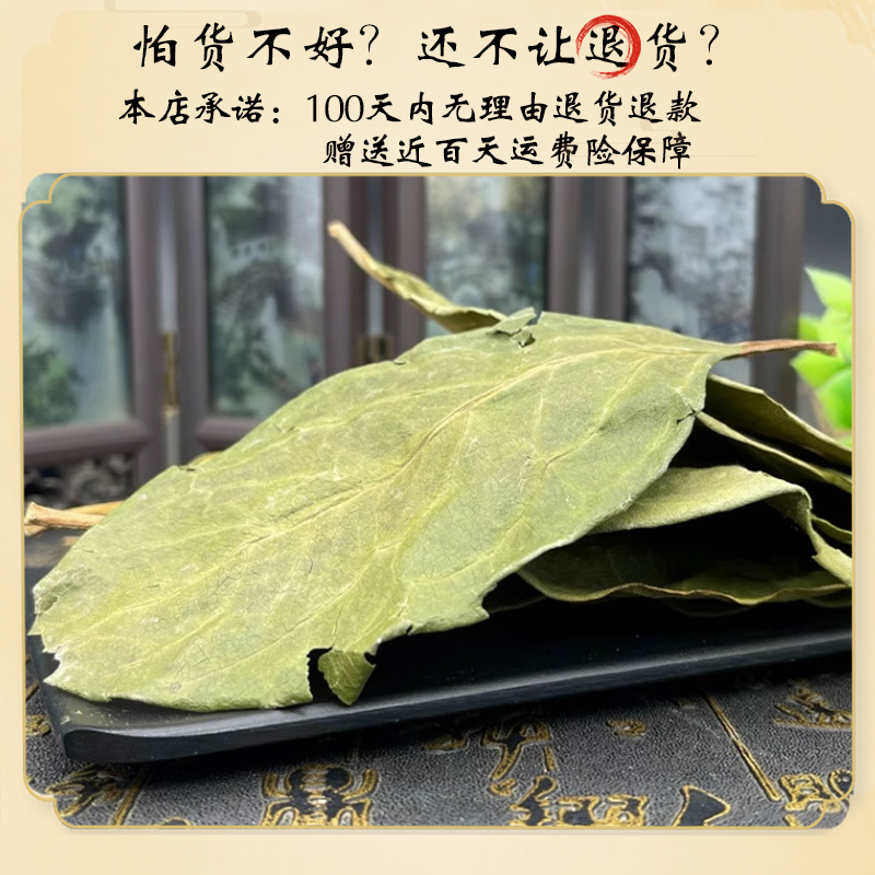 干柿子叶降茶包压血压中药粉末天然霜后新鲜泡水喝野生官方旗舰店 - 图2