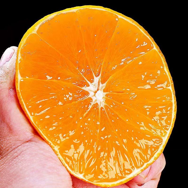 Sichuan jelly orange fresh leaves seasonal hand peeled orange sweet orange fruit for pregnant women