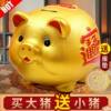 Golden pig piggy bank can only go in and out 2026 new ornaments children's gift piggy bank festive supplies ceramics