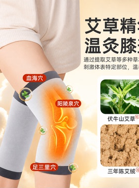 抖音爆款艾草护膝中老年人专用