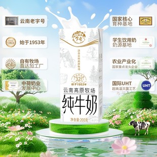 乍甸白金纯牛奶1箱（200g*12盒）