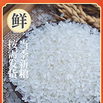 森稻福正宗东北五常大米10斤装【双层真空】[6元优惠券]-寻折猪