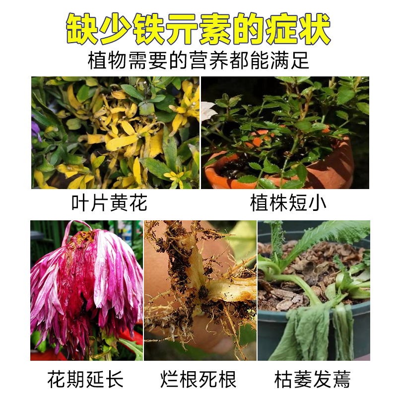 硫酸亚铁花肥料喜酸栀子花茶花杜鹃花桂花水溶肥家用肥通用型黄叶 - 图1