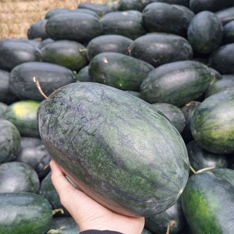 越南进口应季黑美人西瓜包沙包甜当季新鲜热带水果批发新鲜薄皮甜,淘宝优惠券,粉丝福利购,淘宝优惠卷