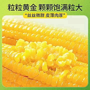 下拉到手17!农投北誉甄品粘糯玉米棒*8根[2元优惠券]-寻折猪