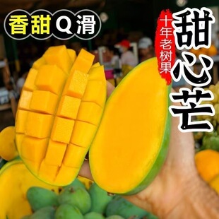 礼金到手10.66！当季新鲜金煌芒4.5斤