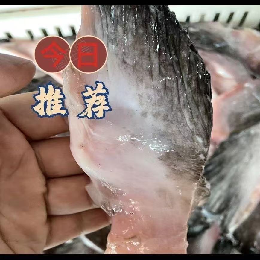 新鲜海鲜冷冻安康鱼翅鱼鳍生鲜批发750g海鱼安康鱼水产食材冰鲜 - 图0