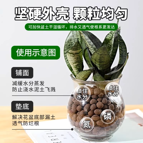 陶粒垫底养花专用营养土多肉盆栽铺面石水培粒透气陶土种花底部 - 图2