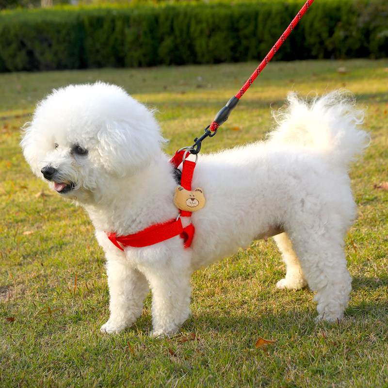 加长狗狗的牵引绳狗绳子遛狗链子项圈胸背宠物用品小中大型犬狗链,淘宝优惠券,粉丝福利购,淘宝优惠卷