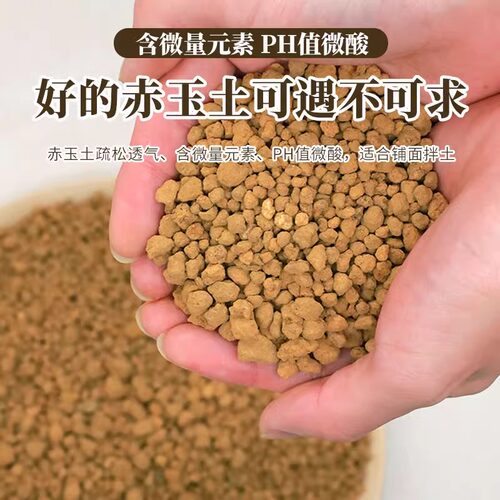 盆景鹿沼土专用赤玉土颗粒三本线铺面硬质日本进口赤玉爬宠土壤 - 图2