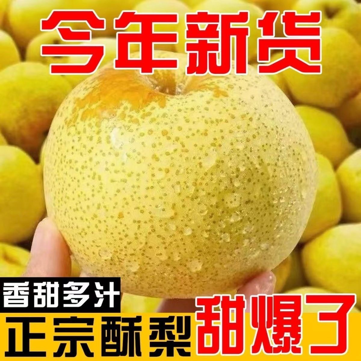 安徽砀山正宗酥梨山梨新鲜水果冰糖雪梨汁烤梨用爆汁鸭梨百年梨树,淘宝优惠券,粉丝福利购,淘宝优惠卷