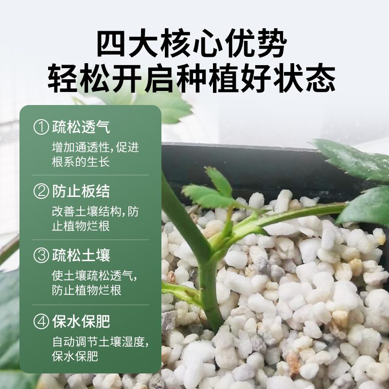 珍珠岩大颗粒膨胀蛭石养花用多肉育苗兰花专用植料营养土园艺种植 - 图2