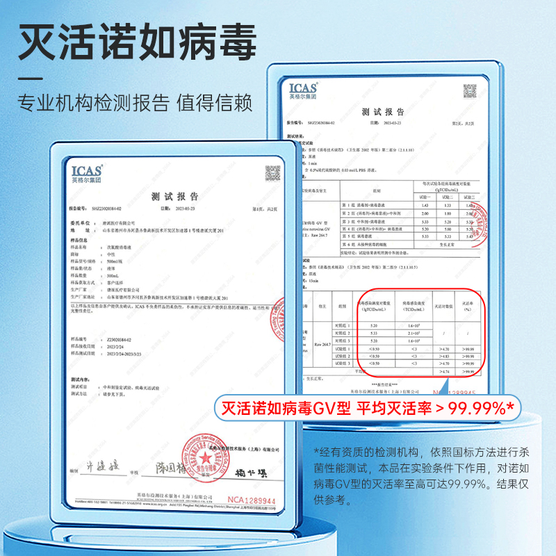 秝客次氯酸消毒喷雾液片医用疫情专用消毒泡腾片除味家用宠物猫狗 - 图2