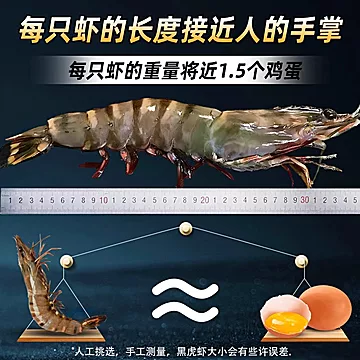 礼金+金币到手62左右！超大黑虎虾净重800g[3元优惠券]-寻折猪