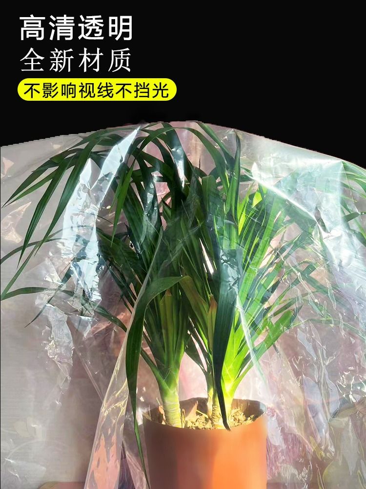 加厚透明塑料布大棚塑料膜防水防雨布防尘封窗保温薄膜塑料纸防渗-图2