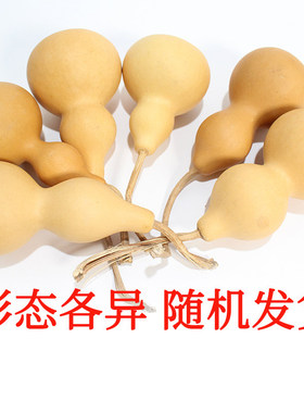 天然葫芦精品文玩手捻儿童DIY绘画素材真葫芦挂件摆件手工烙画
