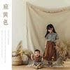 Modern simple light luxury door curtain polyester cotton solid color simple ins style home fabric living room bedroom semi-blackout curtain