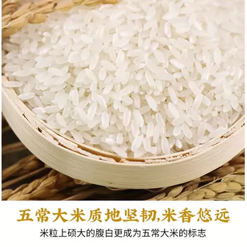 【东铁村】优质五常大米10斤新米[7元优惠券]-寻折猪