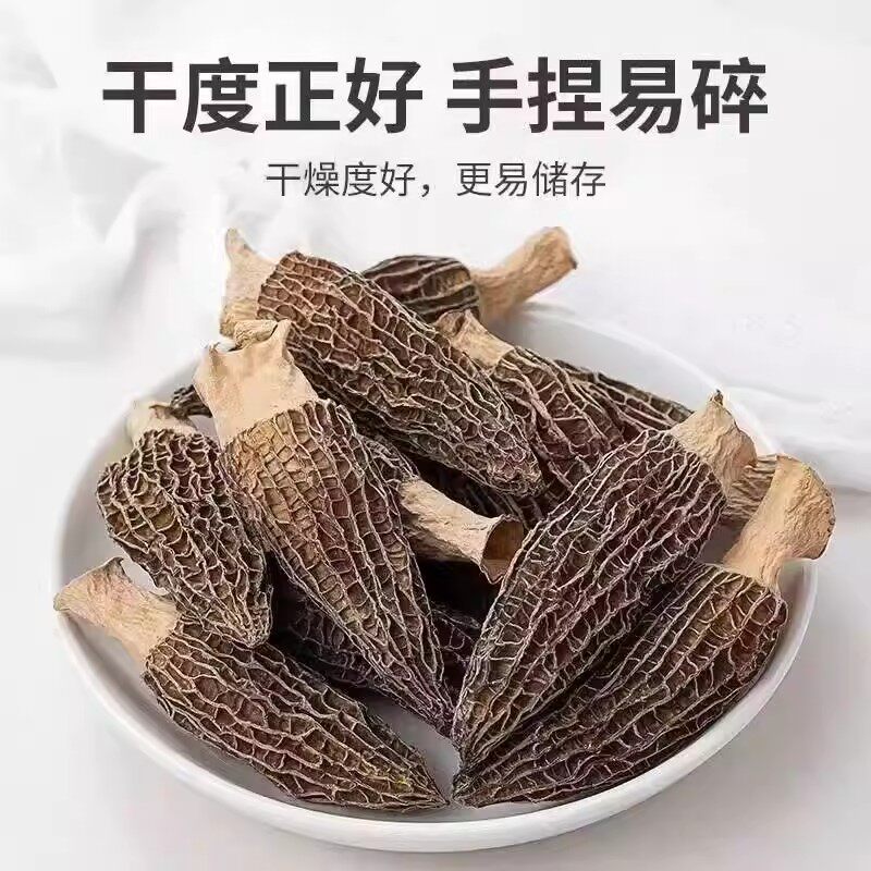 【果官宣】精选羊肚菌头茬正品新鲜煲汤滋补食材炖汤干货无干燥剂