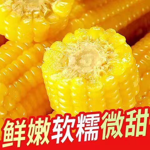 【促销抢购】正宗东北黄糯玉米段低脂甜玉米真空零食出口转内销 - 图2