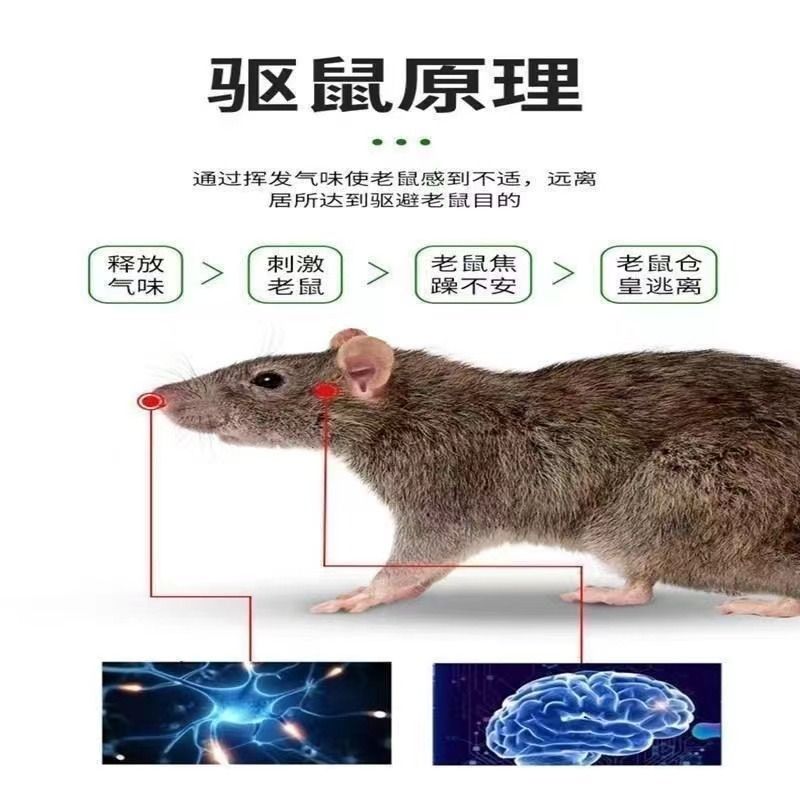 强力驱鼠丸驱防鼠户外室内老鼠驱赶神器发动机舱驱鼠神器去除耗子-图2