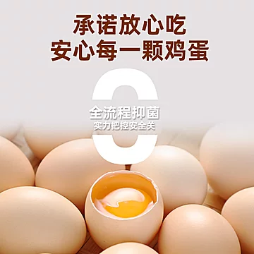 金币17.9璞悠无菌蛋顺丰礼盒装30枚[21元优惠券]-寻折猪