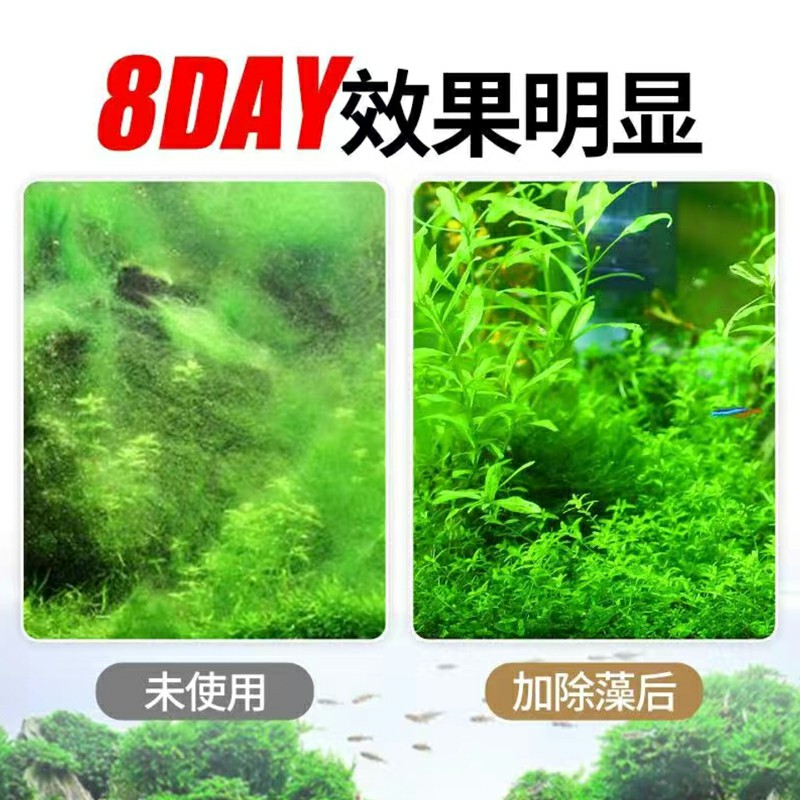 鱼缸除苔剂除藻剂去藻除青苔除苔素除藻青苔去除剂细菌硝化净水 - 图2