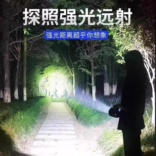 公牛适用手电筒强光LED超亮特种兵户外USB充电远射疝气长续航防水 - 图2